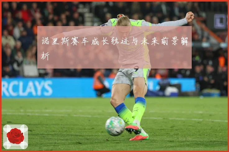 诺里斯赛车成长轨迹与未来前景解析