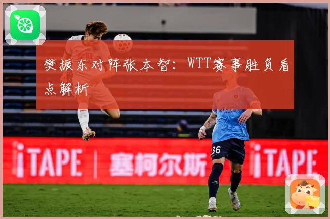 樊振东对阵张本智：WTT赛事胜负看点解析